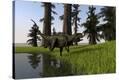 Stretched Canvas Print