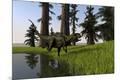 Premium Giclee Print