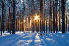 Winter Landscape-Yanika-Framed Premier Image Canvas