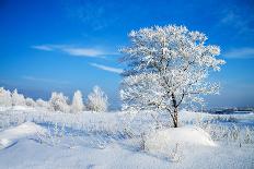 Winter Landscape-Yanika-Framed Photographic Print