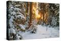 Stretched Canvas Print