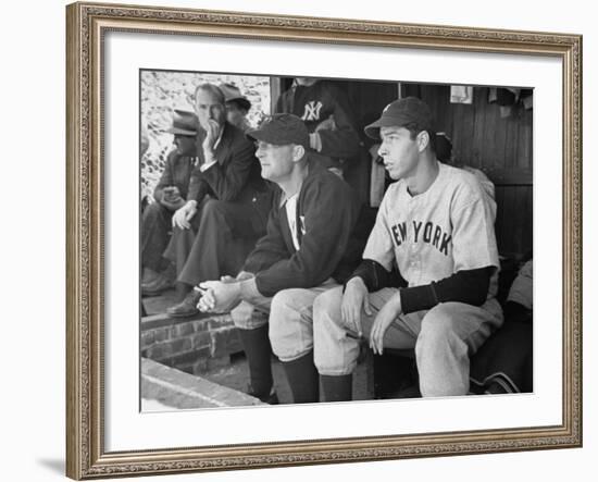 Yankee Great Joe Dimaggio Sitting in Dugout, Watching Game. Yankees Vs. Brooklyn Dodgers-Carl Mydans-Framed Premium Photographic Print