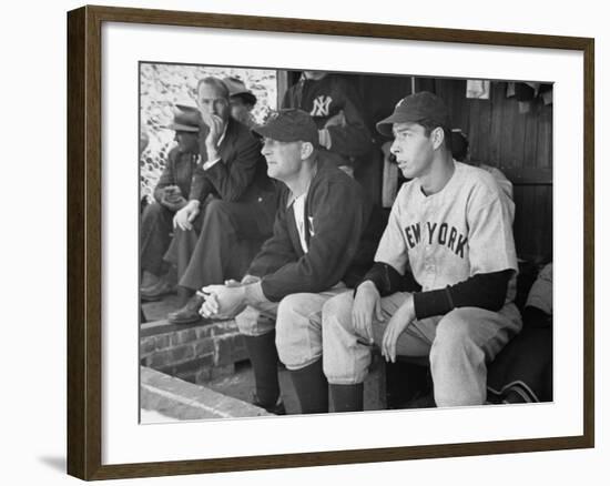 Yankee Great Joe Dimaggio Sitting in Dugout, Watching Game. Yankees Vs. Brooklyn Dodgers-Carl Mydans-Framed Premium Photographic Print