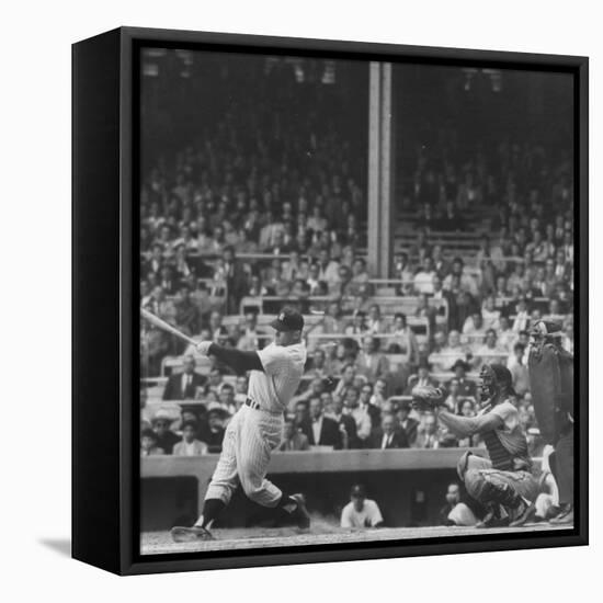 Yankee Mickey Mantle in Action, Swinging Bat with Catcher and Umpire Behind Him-Grey Villet-Framed Premier Image Canvas