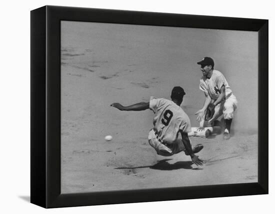 Yankee Phil Rizzuto Waiting to Catch the Ball During the American League Pennant Race-Grey Villet-Framed Premier Image Canvas