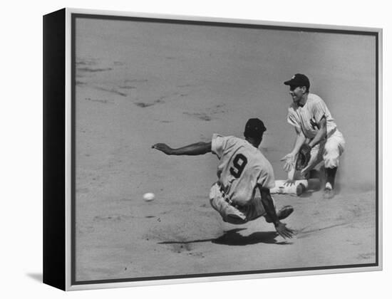 Yankee Phil Rizzuto Waiting to Catch the Ball During the American League Pennant Race-Grey Villet-Framed Premier Image Canvas