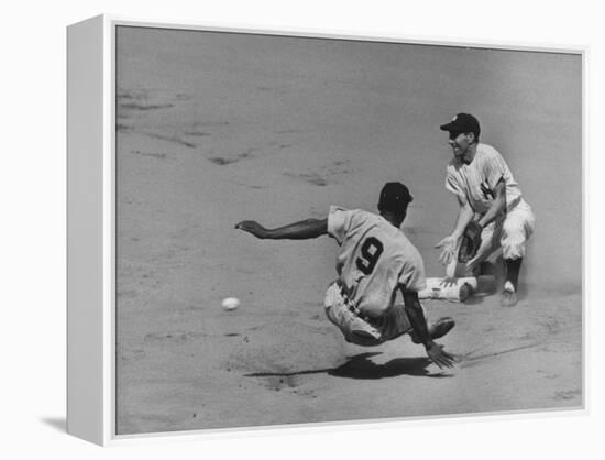 Yankee Phil Rizzuto Waiting to Catch the Ball During the American League Pennant Race-Grey Villet-Framed Premier Image Canvas