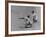 Yankee Phil Rizzuto Waiting to Catch the Ball During the American League Pennant Race-Grey Villet-Framed Premium Photographic Print