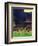 "Yankee Stadium," April 19, 1947-John Falter-Framed Giclee Print