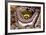 Yankee Stadium - New York, New York-Mike Smith-Framed Art Print