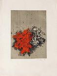 Fleurs rouges-Yannick Ballif-Framed Collectable Print