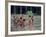 Yanomami Children, Brazil, South America-Robin Hanbury-tenison-Framed Photographic Print