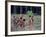 Yanomami Children, Brazil, South America-Robin Hanbury-tenison-Framed Photographic Print