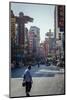 Yaowarat Road, Chinatown, Bangkok, Thailand, Southeast Asia, Asia-Andrew Taylor-Mounted Photographic Print