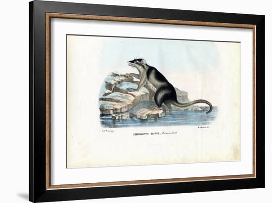 Yapok, 1863-79-Raimundo Petraroja-Framed Giclee Print