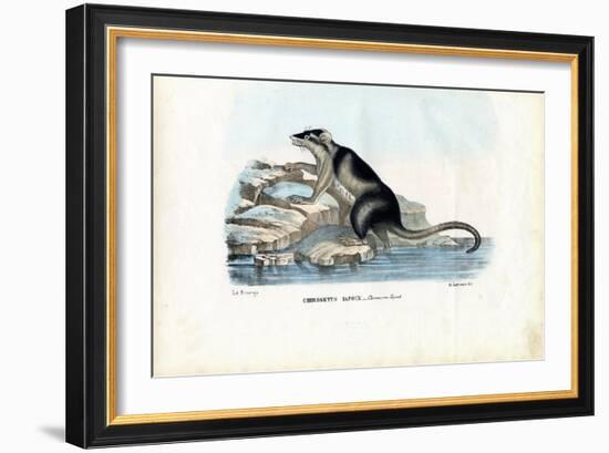 Yapok, 1863-79-Raimundo Petraroja-Framed Giclee Print