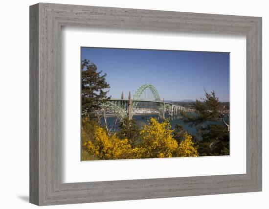 Yaquina Bay Bridge on Highway 101, Newport, Oregon, USA-Jamie & Judy Wild-Framed Photographic Print