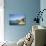 Yaquina Bay Harbor. Newport, OR-Justin Bailie-Photographic Print displayed on a wall