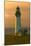 Yaquina Head Lighthouse-George Johnson-Mounted Photo