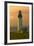 Yaquina Head Lighthouse-George Johnson-Framed Photo