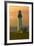 Yaquina Head Lighthouse-George Johnson-Framed Photo