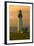Yaquina Head Lighthouse-George Johnson-Framed Photo