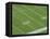 Yard Lines on Football Field-David Madison-Framed Premier Image Canvas