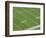 Yard Lines on Football Field-David Madison-Framed Photographic Print