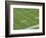 Yard Lines on Football Field-David Madison-Framed Photographic Print