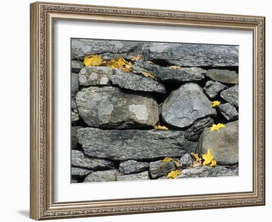 Yard of the Main House on Henderson property, Litchfield Hills, New Milford, Connecticut, USA-Jerry & Marcy Monkman-Framed Photographic Print