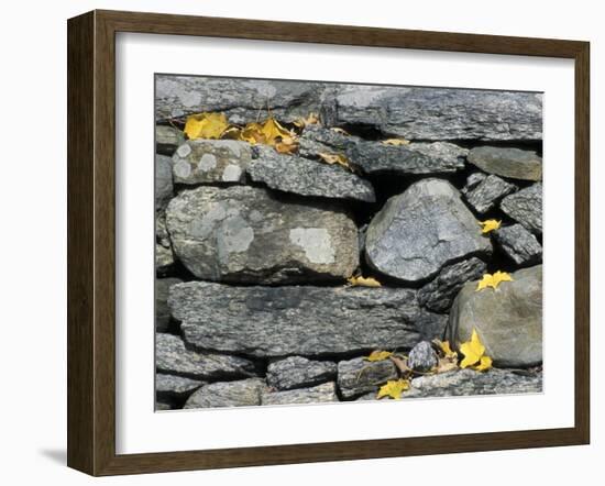 Yard of the Main House on Henderson property, Litchfield Hills, New Milford, Connecticut, USA-Jerry & Marcy Monkman-Framed Photographic Print