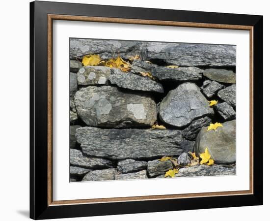 Yard of the Main House on Henderson property, Litchfield Hills, New Milford, Connecticut, USA-Jerry & Marcy Monkman-Framed Photographic Print