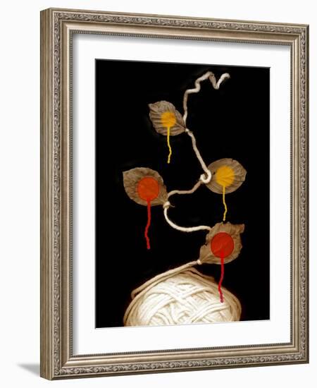 Yarn Bloom, 2013-Johan Lilja-Framed Giclee Print