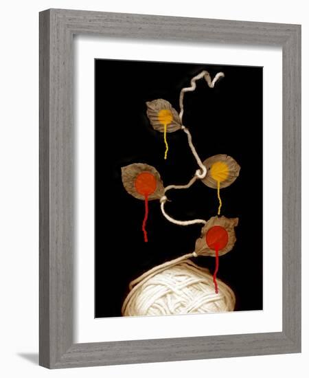 Yarn Bloom, 2013-Johan Lilja-Framed Giclee Print