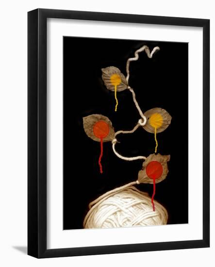 Yarn Bloom, 2013-Johan Lilja-Framed Giclee Print