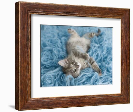 Yarnie-Rachael Hale-Framed Art Print