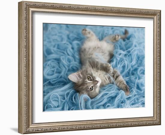 Yarnie-Rachael Hale-Framed Art Print