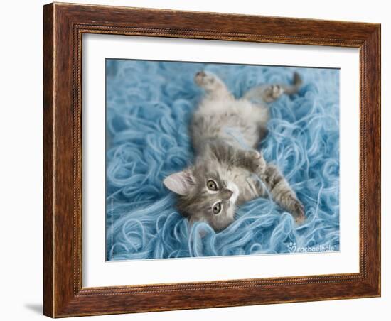 Yarnie-Rachael Hale-Framed Art Print