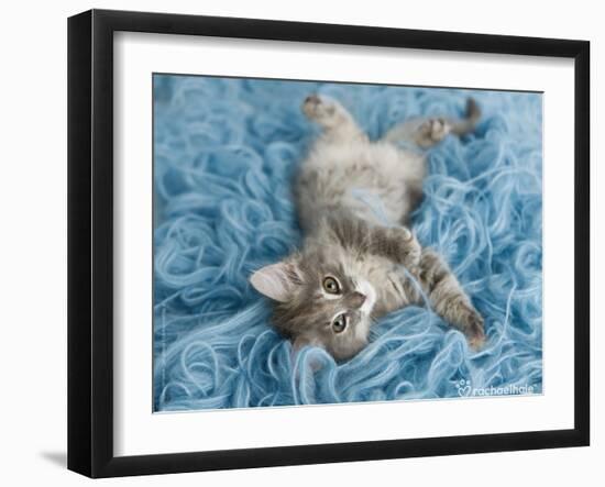 Yarnie-Rachael Hale-Framed Art Print