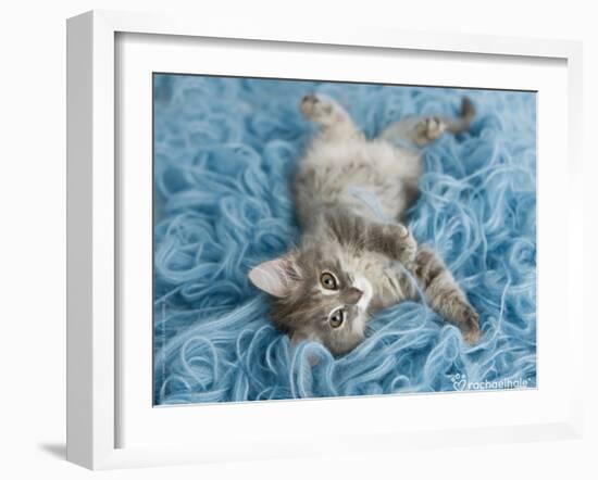 Yarnie-Rachael Hale-Framed Art Print