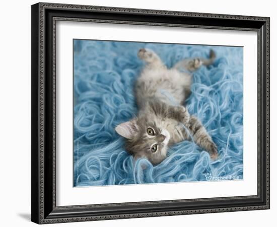 Yarnie-Rachael Hale-Framed Art Print