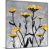 Yarrow Blooms-Bee Sturgis-Mounted Art Print