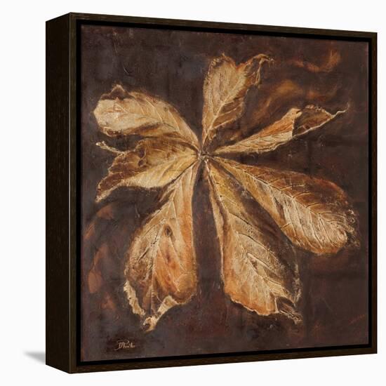 Yarumo in Gold I-Patricia Pinto-Framed Stretched Canvas