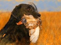 Oil Painting Portrait Of Black Labrador With Duck-Yarvet-Premium Giclee Print