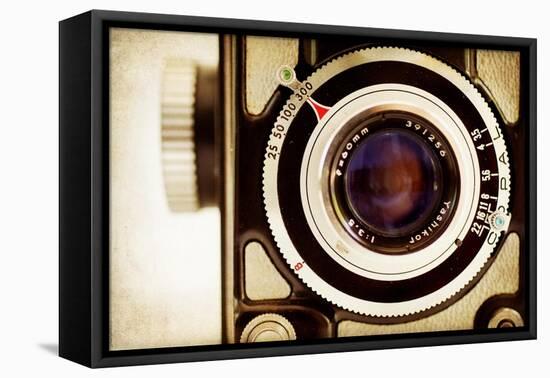 Yashica 1-Jessica Rogers-Framed Premier Image Canvas