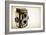 Yashica-44-Jessica Rogers-Framed Giclee Print