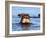 Yawning hippo, Isimangaliso Greater St. Lucia Wetland Pk, UNESCO World Heritage Site, South Africa-Christian Kober-Framed Photographic Print