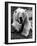 Yawning Polar Bear-null-Framed Photographic Print