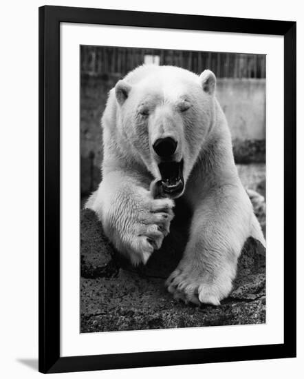 Photographic Print, , large