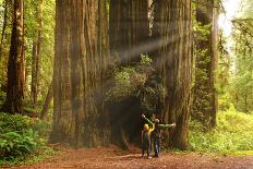 Hikers Admiring Redwood Trees, Redwood National Park, California-YayaErnst-Framed Photographic Print